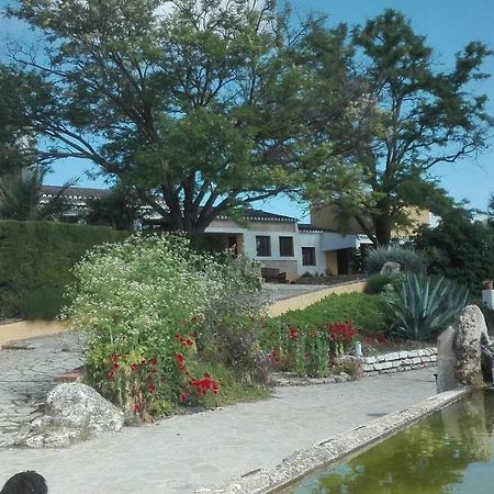 La Escuela Del Campo Bed & Breakfast Setenil De Las Bodegas Ngoại thất bức ảnh