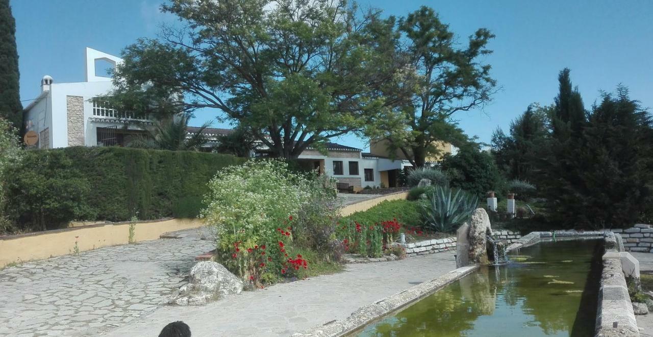 La Escuela Del Campo Bed & Breakfast Setenil De Las Bodegas Ngoại thất bức ảnh